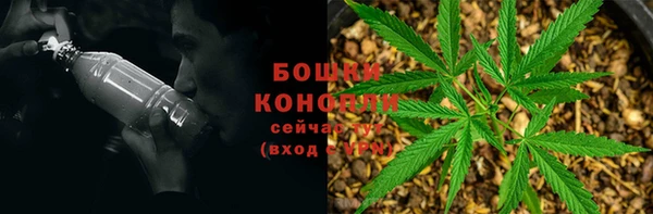 прущие крисы Белокуриха
