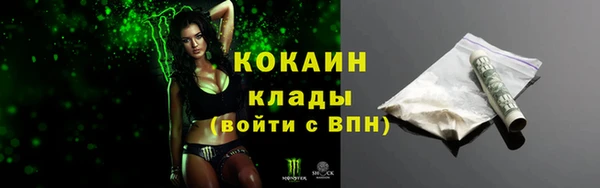 прущие грибы Нягань